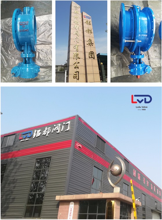 D342X-10Qdn300/dn350/dn400雙偏心法蘭式蝶閥廠家現(xiàn)貨